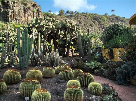 JARDIN CANARIO, Las Palmas de Gran Canaria